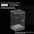 Acrylic Reptile Cage - Lizard/Spider/Insect Feeding Terrarium