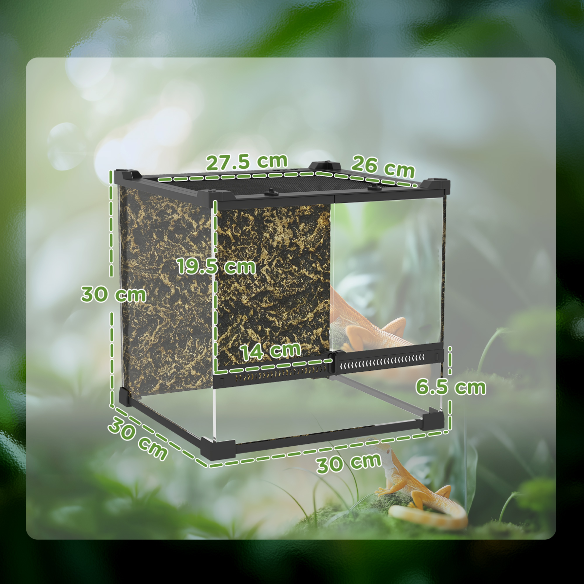 Reptile Glass Terrarium