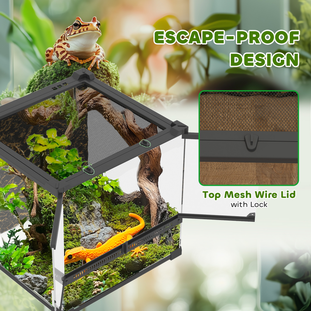 Reptile Glass Terrarium