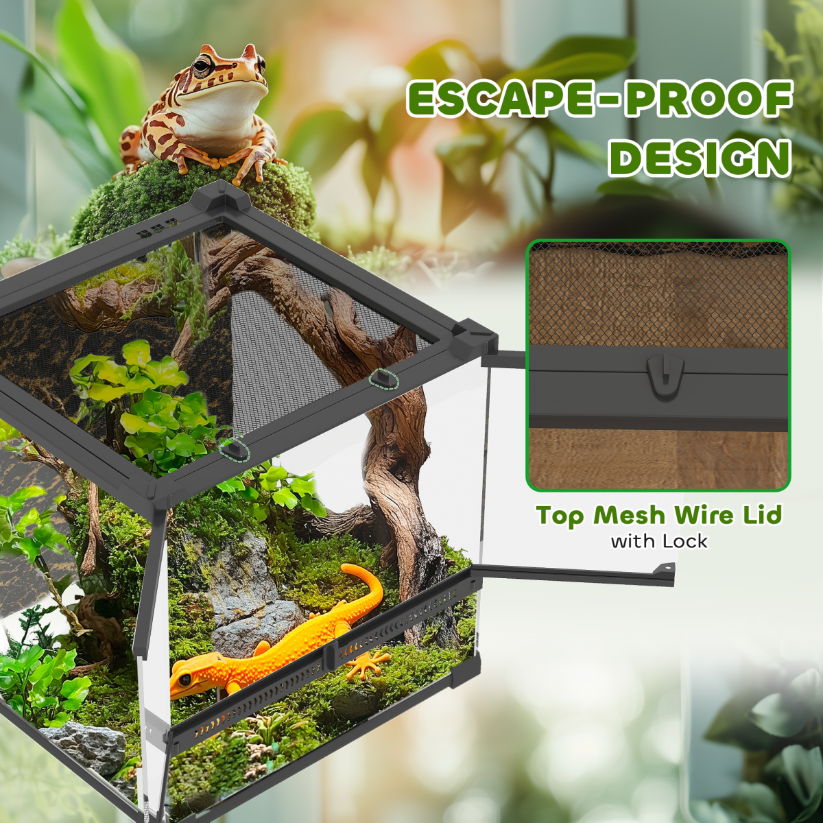 Reptile Glass Terrarium