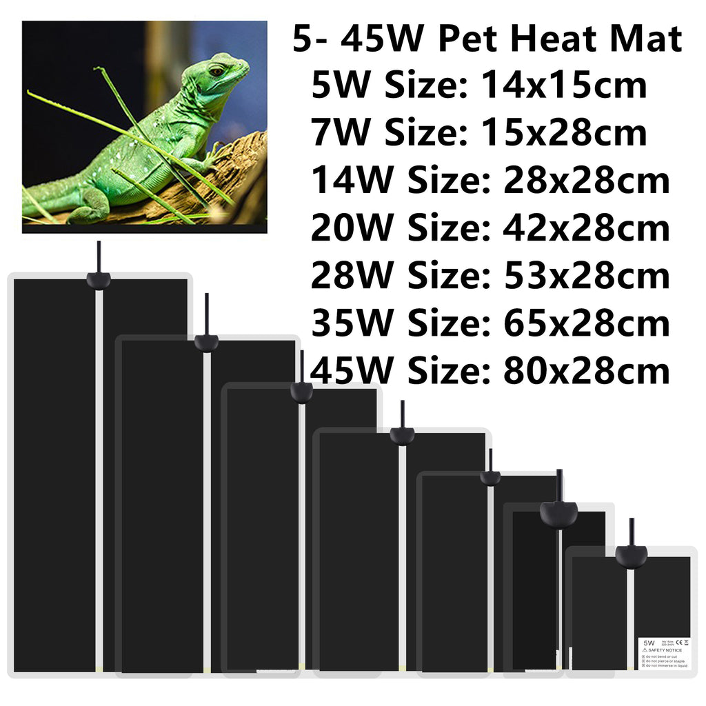 S1005006330652613_0.jpg