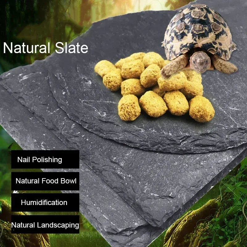 main.png