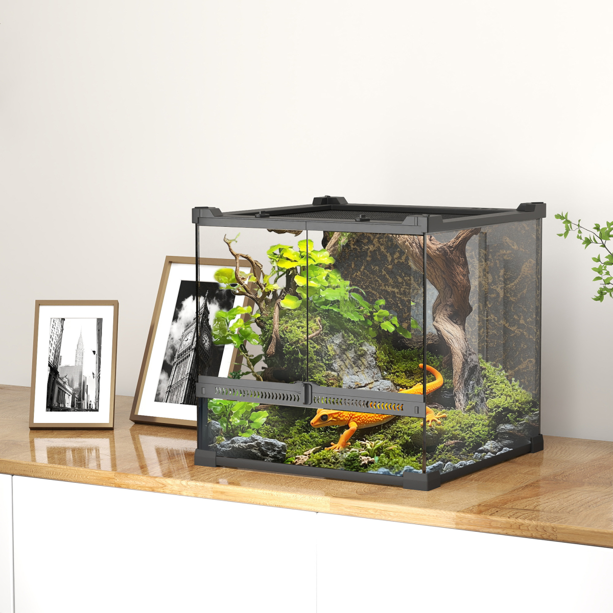 Reptile Glass Terrarium